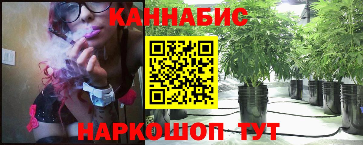 Бошки Шишки сатива  Канабис планчик  Вход с VPN  Хасавюрт 